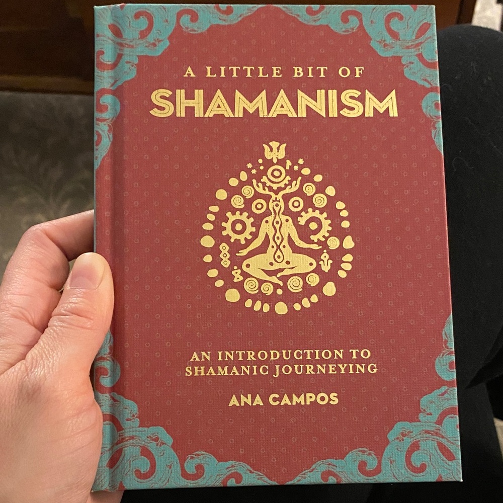 DONATED - A Little Bit of Shamanism Book